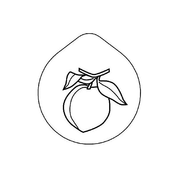 Крышка с рисунком «Персик» Frilich