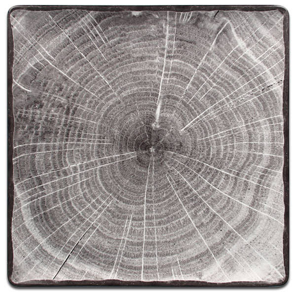 Тарелка квадратная плоская серая RAK Porcelain «WoodArt», 30,2x30,2 см