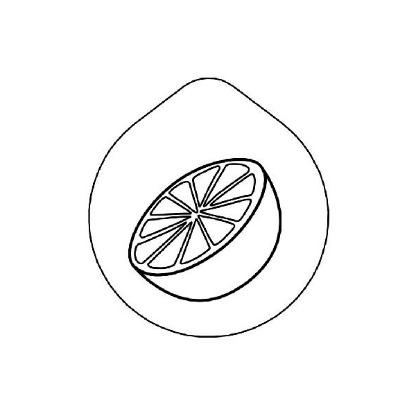 Крышка с рисунком «Грейпфрут» Frilich