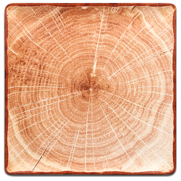 Тарелка квадратная плоская красно-коричневая RAK Porcelain «WoodArt», 30,2x30,2 см