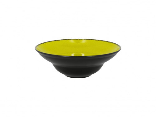 Тарелка круглая "Gourmeet" d=26см цвет черный/зеленый RAK Porcelain «Fire»