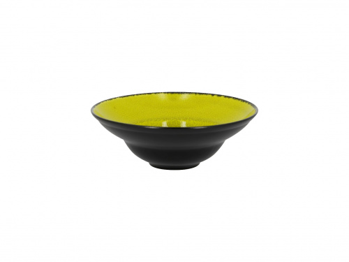 Тарелка круглая "Gourmeet" d=23см цвет черный/зеленый RAK Porcelain «Fire»