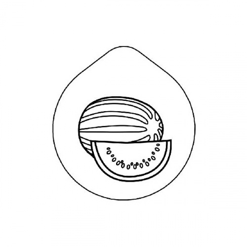 Крышка с рисунком «Арбуз» Frilich